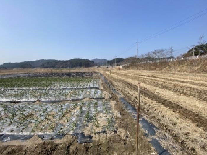 충남 태안군 소원면 전답 경매 물건 사진 4 · 2026타경50160
