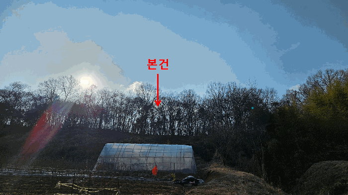 충남 당진시 채운동 임야 경매 물건 사진 6 · 2026타경50179
