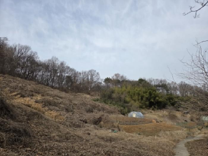충남 당진시 채운동 임야 경매 물건 사진 2 · 2026타경50179