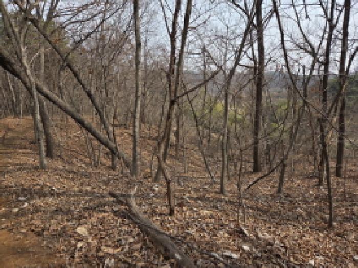 충남 당진시 채운동 임야 경매 물건 사진 5 · 2026타경50179