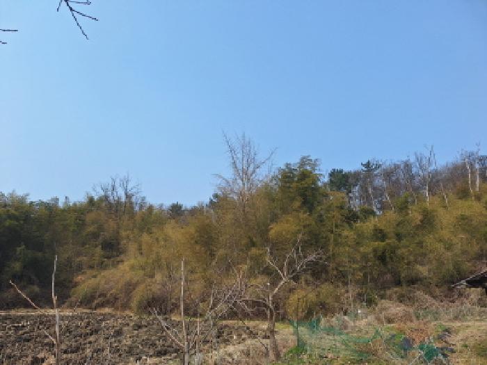 충남 서산시 성연면 임야 경매 물건 사진