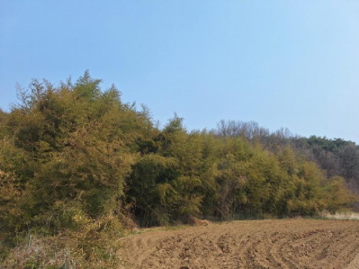충남 서산시 성연면 임야 경매 물건 사진 2 · 2026타경50216