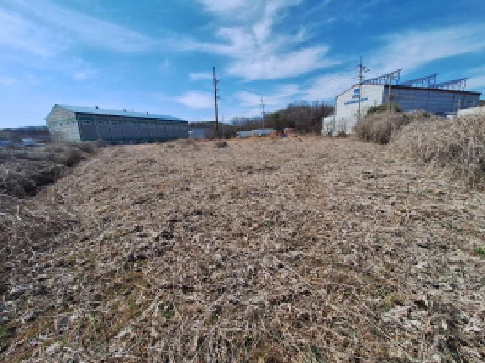 충남 당진시 고대면 대지,임야,전답 경매 물건 사진 3 · 2026타경50243