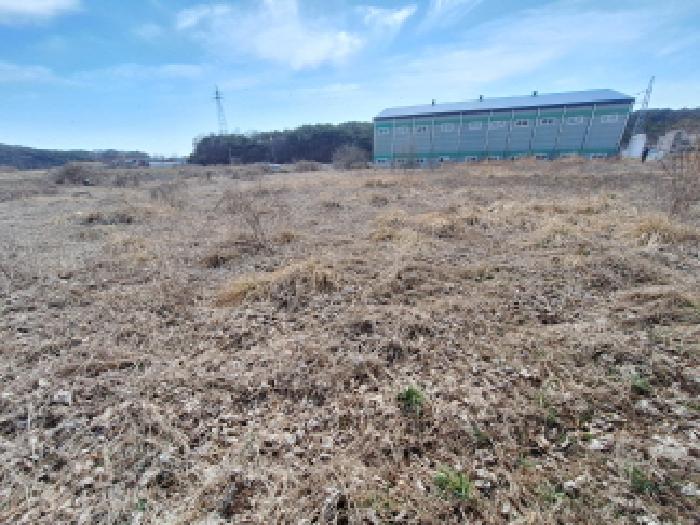 충남 당진시 고대면 대지,임야,전답 경매 물건 사진 5 · 2026타경50243