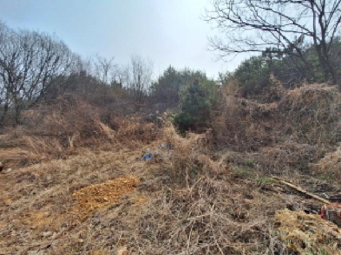 충남 당진시 석문면 임야 경매 물건 사진 4 · 2026타경50257