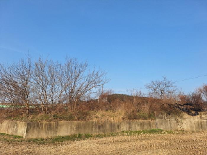 충남 서산시 지곡면 전답 경매 물건 사진