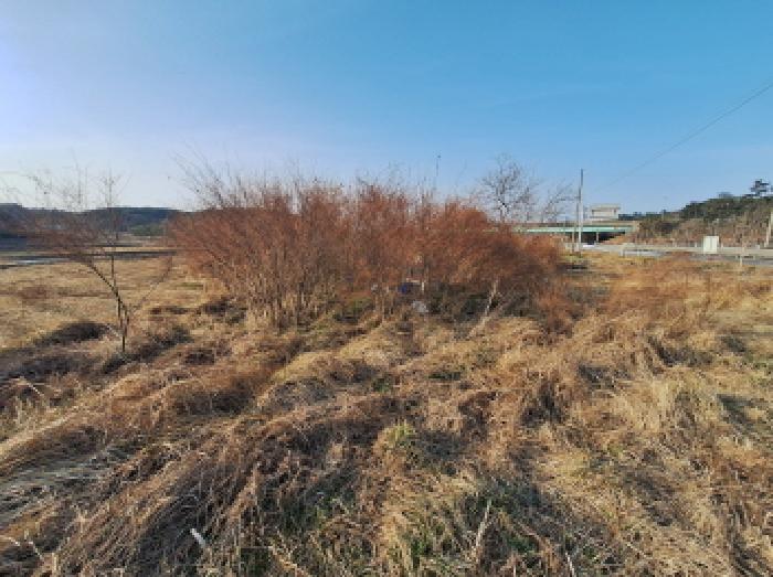 충남 서산시 지곡면 전답 경매 물건 사진 3 · 2026타경50266