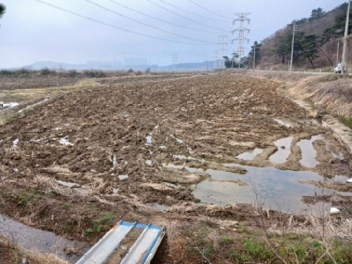 충남 당진시 석문면 전답 경매 물건 사진 2 · 2026타경50300