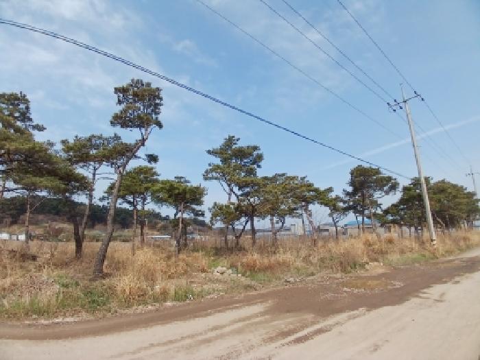 충남 서산시 대산읍 유지 경매 물건 사진 5 · 2026타경50313