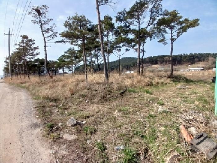 충남 서산시 대산읍 유지 경매 물건 사진 6 · 2026타경50313