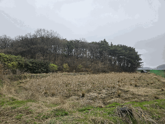 충남 당진시 고대면 전답 경매 물건 사진 6 · 2026타경50316