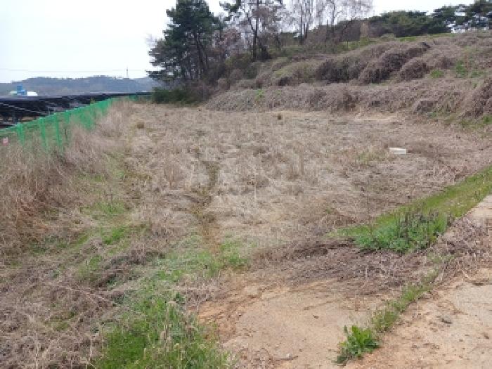 충남 당진시 고대면 전답 경매 물건 사진