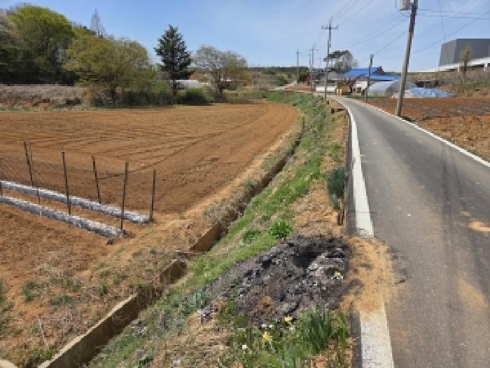 충남 당진시 송악읍 전답 경매 물건 사진