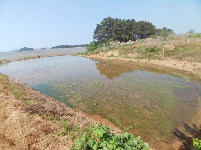 충남 서산시 대산읍 임야 경매 물건 사진 2 · 2026타경50413