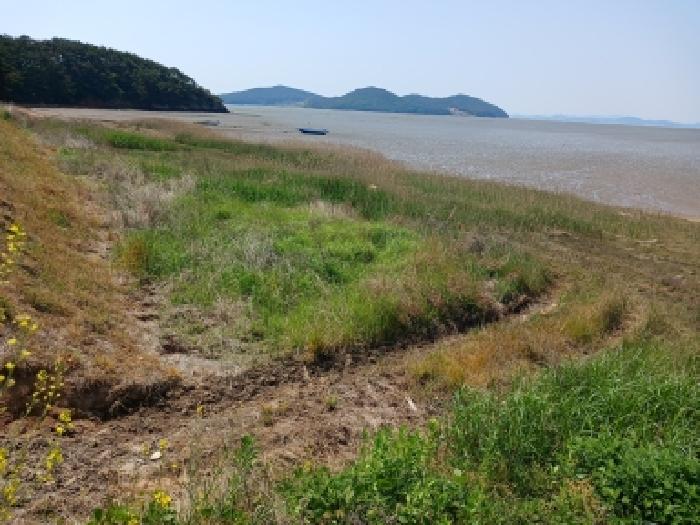 충남 서산시 대산읍 임야 경매 물건 사진 4 · 2026타경50413