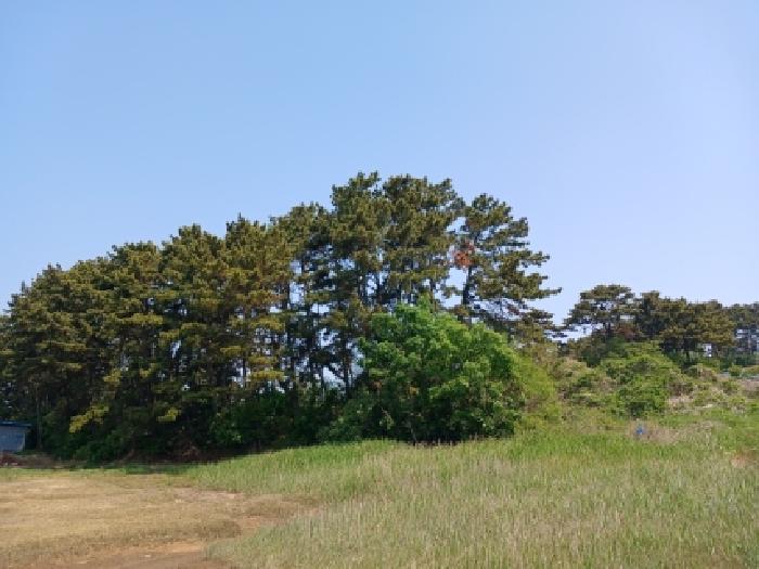 충남 서산시 대산읍 임야 경매 물건 사진 5 · 2026타경50413