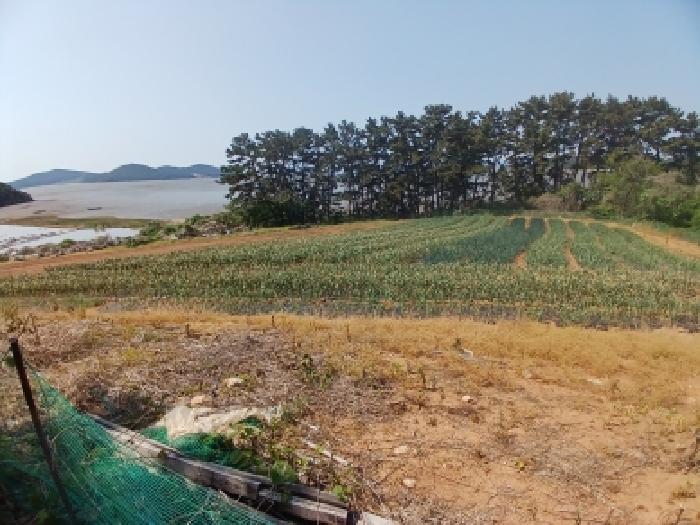 충남 서산시 대산읍 임야 경매 물건 사진 6 · 2026타경50413