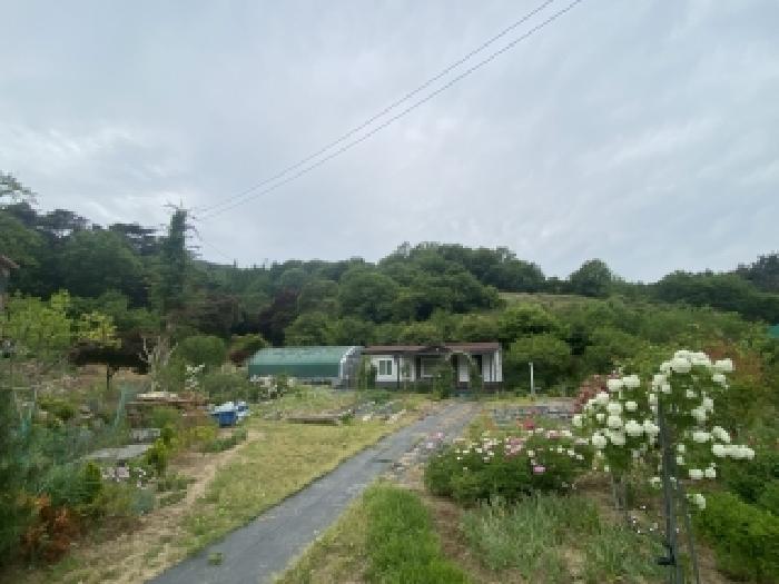 충남 서산시 팔봉면 임야 경매 물건 사진 4 · 2026타경50467
