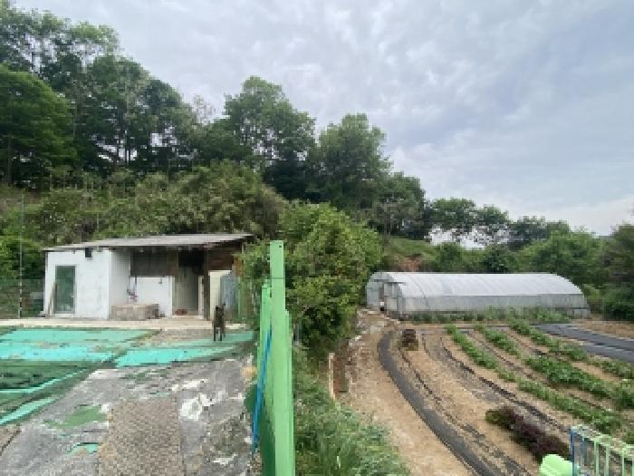 충남 서산시 팔봉면 임야 경매 물건 사진 6 · 2026타경50467