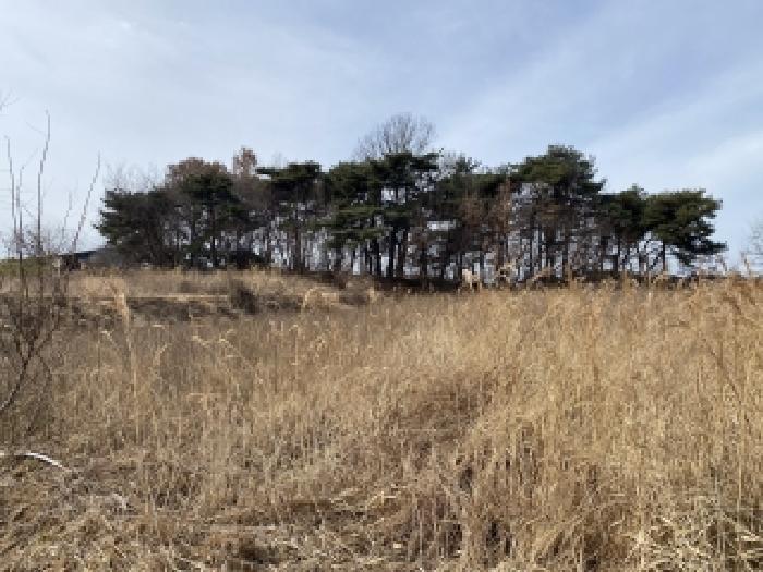 충남 서산시 해미면 전답 경매 물건 사진 2 · 2026타경60