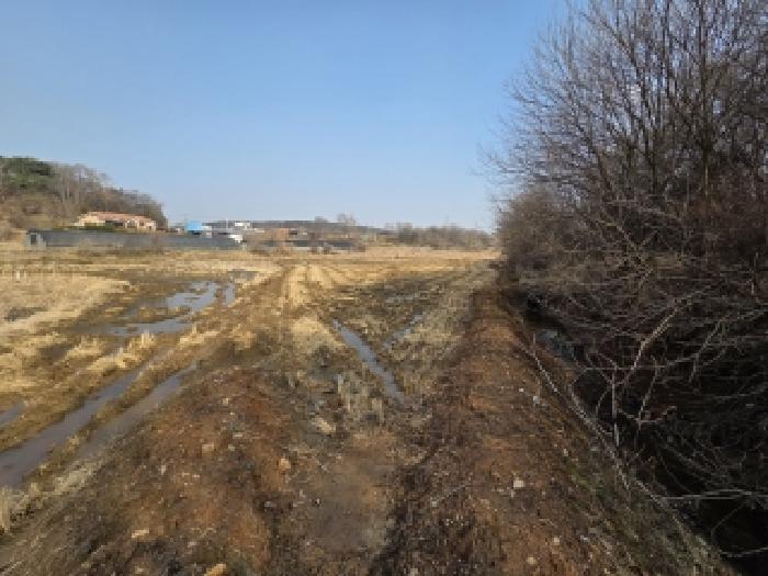 충남 당진시 송악읍 전답 경매 물건 사진 4 · 2026타경83
