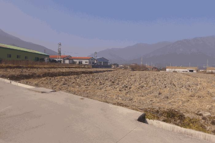 경북 칠곡군 북삼읍 답 경매 물건 사진