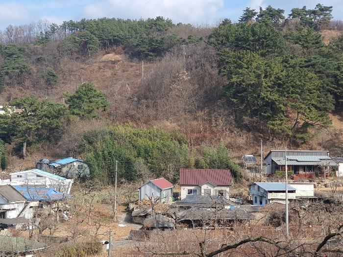 경상북도 청도군 청도읍 송읍리 산47 전 경매 물건 사진