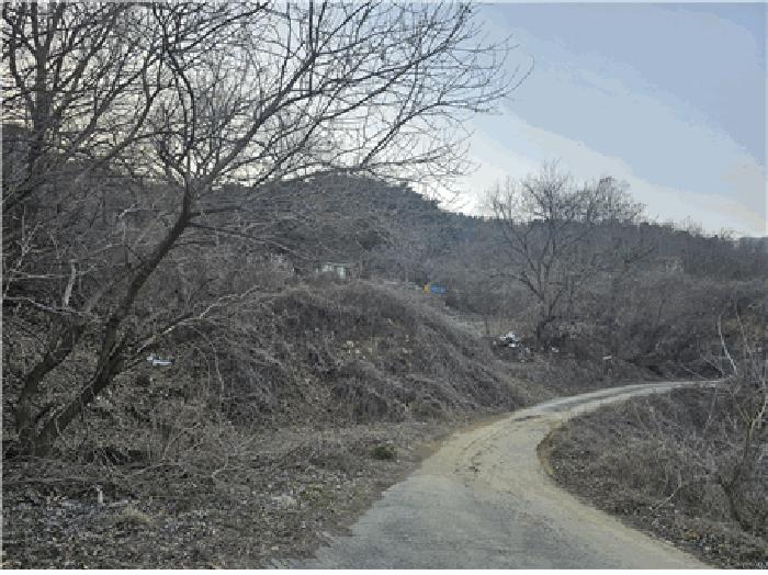 경북 칠곡군 가산면 답 경매 물건 사진