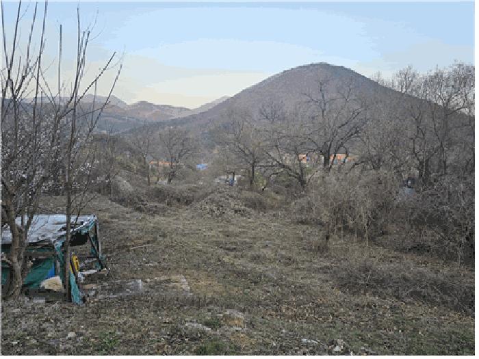 경북 칠곡군 가산면 답 경매 물건 사진 3 · 2024타경101957
