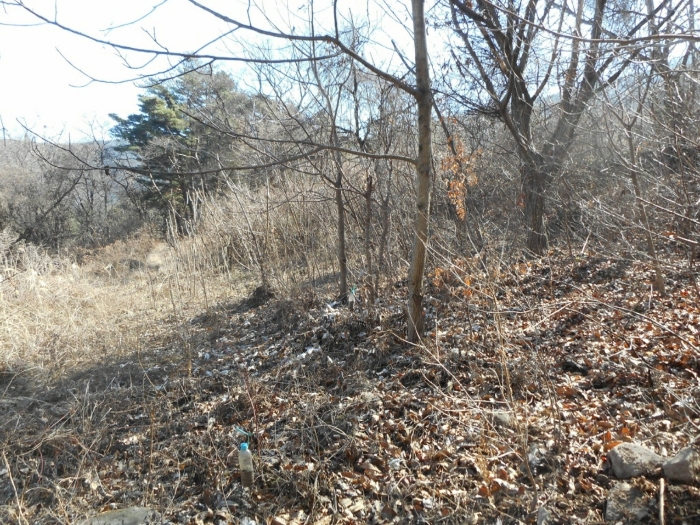 경상북도 경산시 남천면 흥산리 603 전답 경매 물건 사진