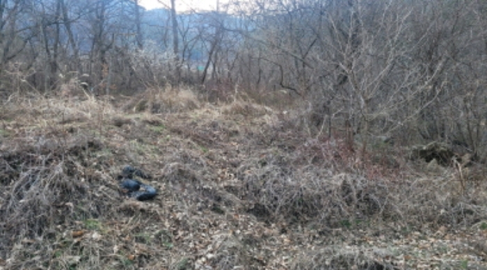 경북 경산시 남천면 전답 경매 물건 사진