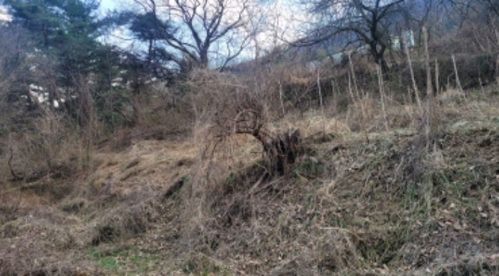 경북 경산시 남천면 전답 경매 물건 사진 3 · 2024타경102622