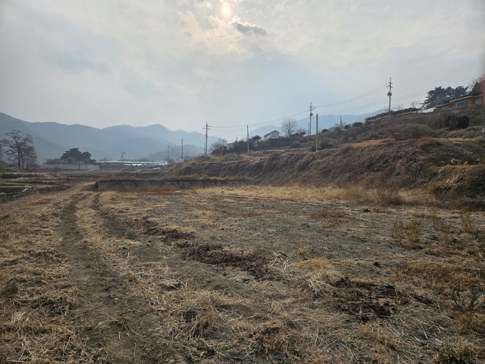 경북 영천시 북안면 답 경매 물건 사진 3 · 2024타경11603
