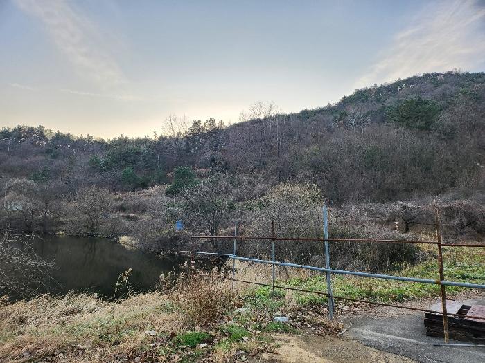 경상북도 영천시 금호읍 구암리 산93 임야 경매 물건 사진