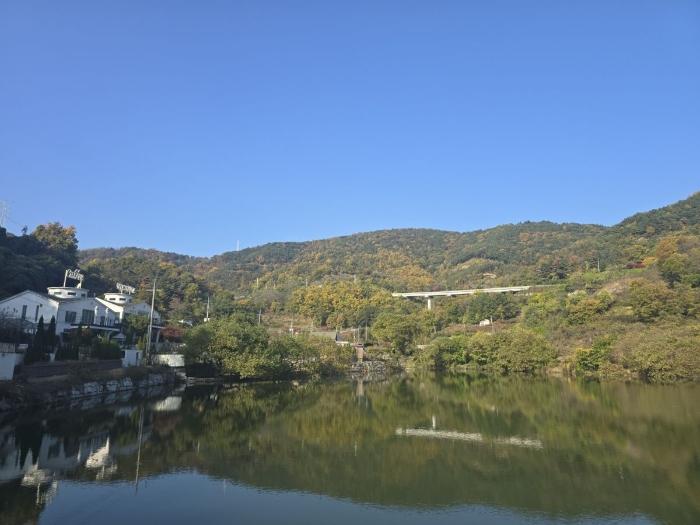 경북 청도군 이서면 임야 경매 물건 사진 2 · 2024타경124738