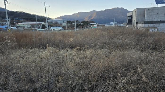 경북 칠곡군 북삼읍 답 경매 물건 사진