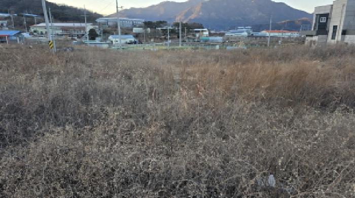 경북 칠곡군 북삼읍 답 경매 물건 사진 2 · 2024타경129016