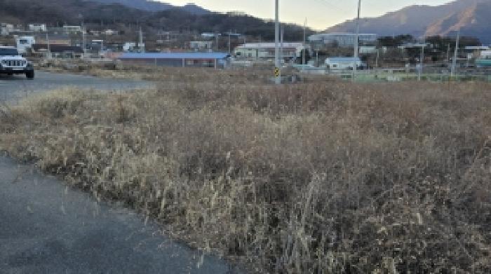 경북 칠곡군 북삼읍 답 경매 물건 사진 3 · 2024타경129016