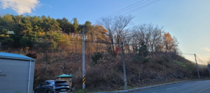 경북 청도군 풍각면 임야 경매 물건 사진