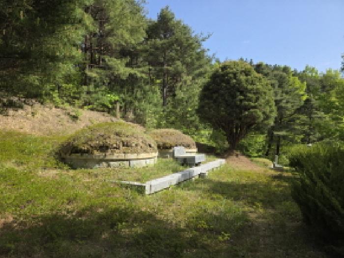 경북 청도군 풍각면 임야 경매 물건 사진 4 · 2024타경9037