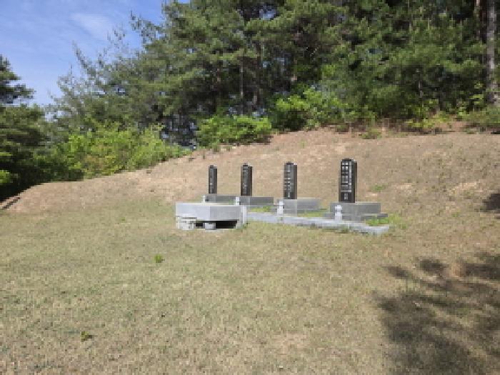 경북 청도군 풍각면 임야 경매 물건 사진 5 · 2024타경9037