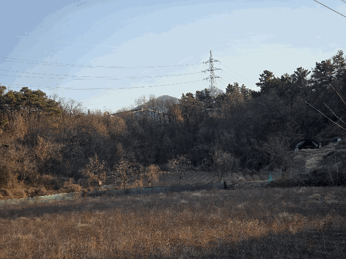 경북 영천시 대창면 임야 경매 물건 사진 3 · 2025타경10013