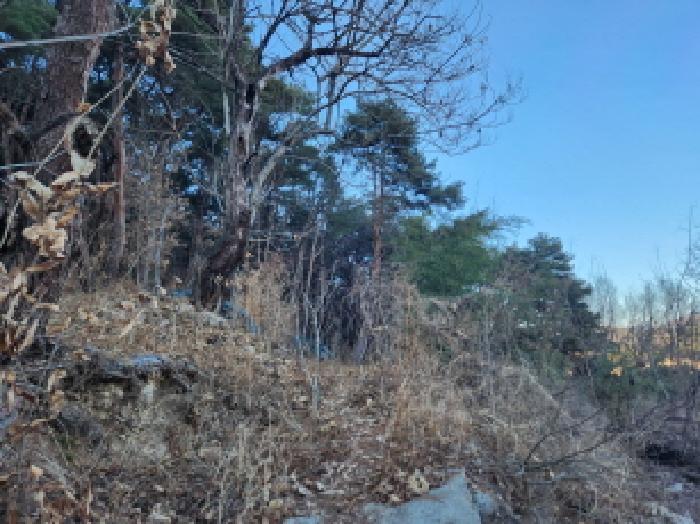 대구 북구 서변동 대지 경매 물건 사진 5 · 2025타경10026