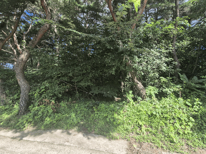 경북 칠곡군 동명면 임야 경매 물건 사진 6 · 2025타경1007