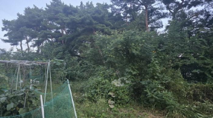 경북 칠곡군 동명면 임야 경매 물건 사진 3 · 2025타경1007