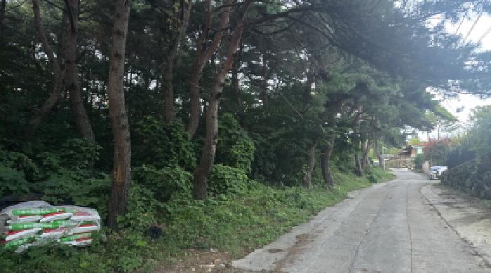 경북 칠곡군 동명면 임야 경매 물건 사진 4 · 2025타경1007