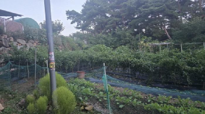 경북 칠곡군 동명면 임야 경매 물건 사진