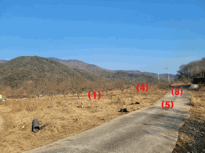 경상북도 칠곡군 기산면 봉산리 882 대지,임야,전답 경매 물건 사진