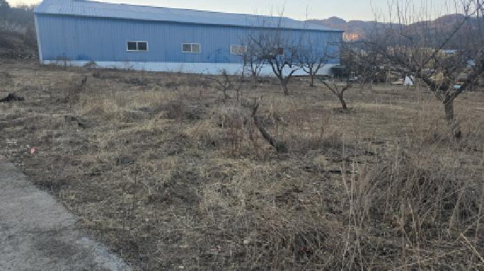 경북 칠곡군 기산면 대지,임야,전답 경매 물건 사진 4 · 2025타경10107