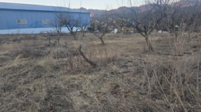 경북 칠곡군 기산면 대지,임야,전답 경매 물건 사진 5 · 2025타경10107